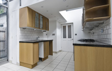 Beragh kitchen extension leads